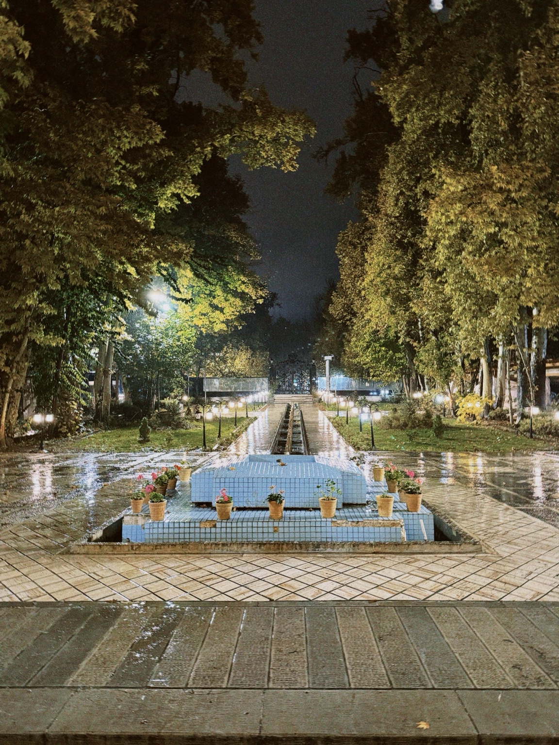 نمایی شبانه از باغی درخت‌کاری‌شده و حوضی کاشی‌کاری‌شده در تهران پس از باران، با نور چراغ‌ها.